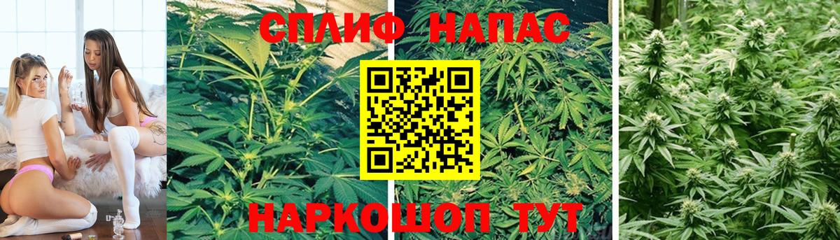 Канабис White Widow  Вход с VPN  Тайшет  Марихуана сатива  Бошки марихуана SATIVA & INDICA 